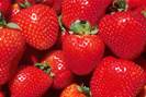 Strawberries[1]