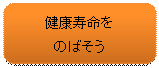 lp`: pۂ: N
̂΂
