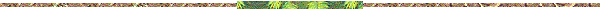 : : : : : BD10256_